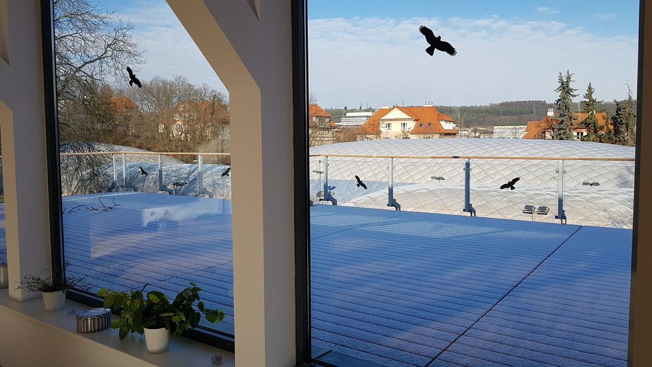 Sport Cibulka Homestay Prague